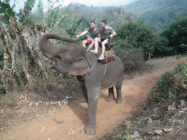 Stef and Seb with Lady Di Lady Di the elephant