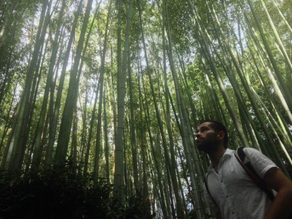 Seby posing in the beautiful Sagano bamboo forest Seby posing in beautiful Sagano bamboo forest