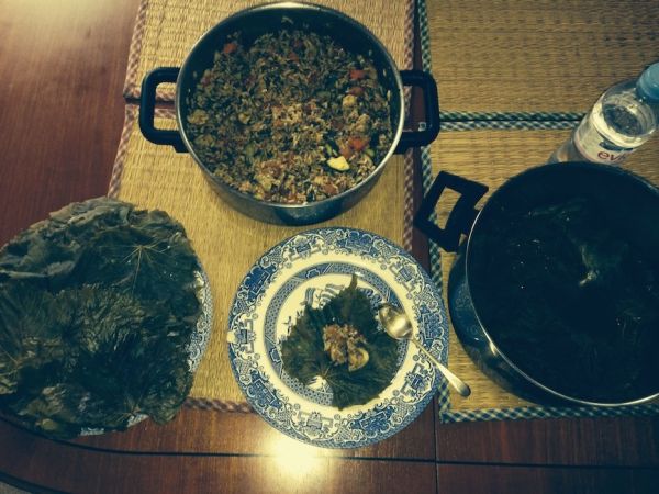Making stuffed vine leaves