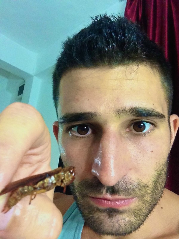 Stefan's grasshopper selfie Stefan's grasshopper selfie