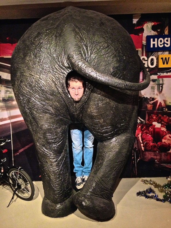 Seb posing with the elephant bum of Lub'D Hostel Seb posing with elephant bum gay friendly Lub'D Hostel Bangkok