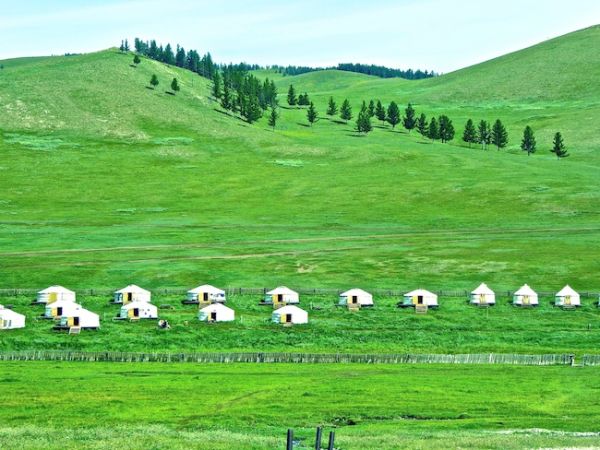 Gers in Mongolia face South