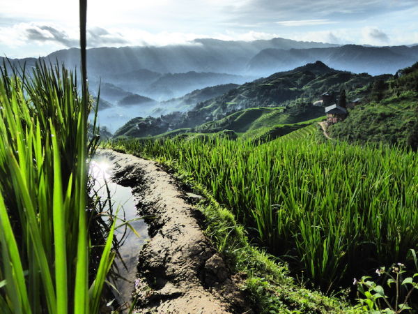 Longji Rice Terraces, Tiantouzhai