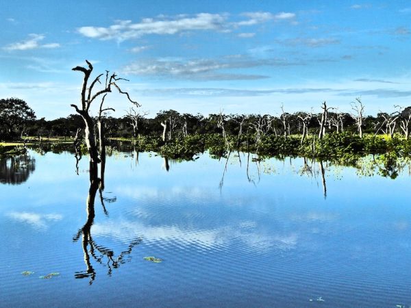 Beautiful pond at Yala National Park Beautiful pond at Yala National Park