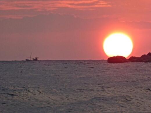 Blue Whale Watching In Mirissa, Sri Lanka • Nomadic Boys