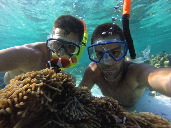 Finding Nemo in the islands Finding Nemo in the islands