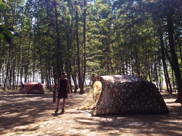 Seb in the camping forest Seb in the camping forest