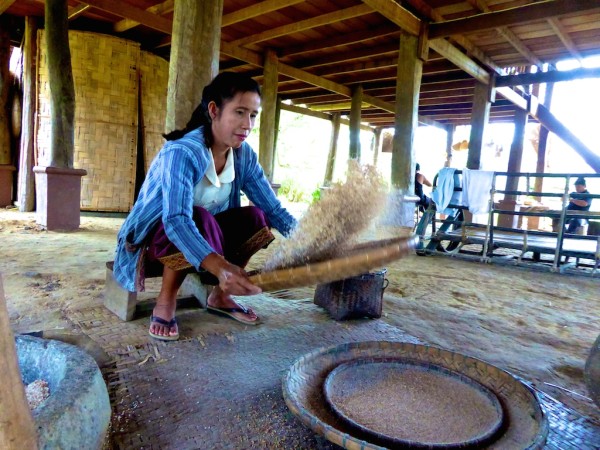 Sorting the grains Sorting the grains