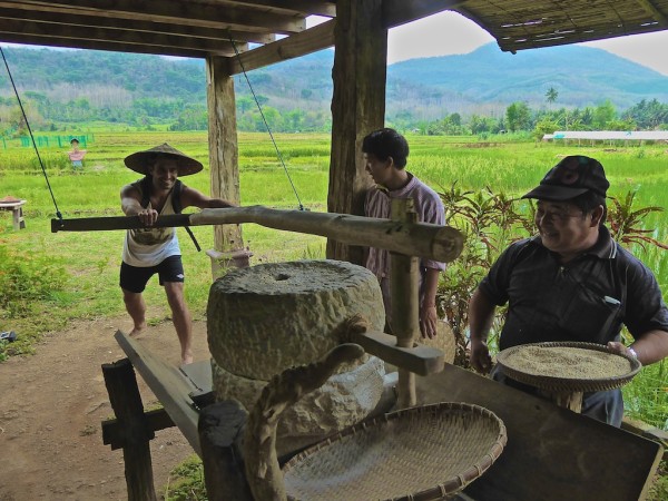 Stefan grinding unused rice particles Stefan grinding unused rice particles