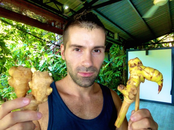 Ginger and galangal Seb Ginger and galangal