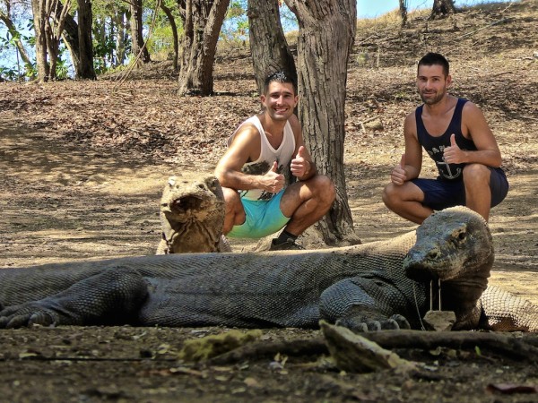 Meeting the Komodo Dragons during our gay friendly luxury liveaboard in Komodo National Park