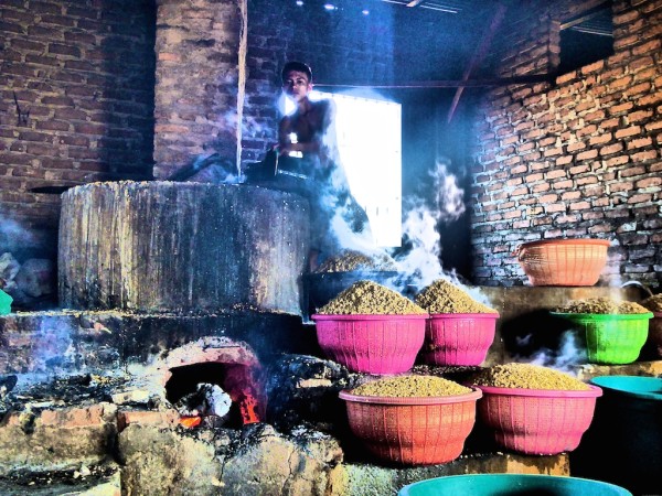 Merombok village Flores island tempeh fermenting Tempeh Indonesian traditional food