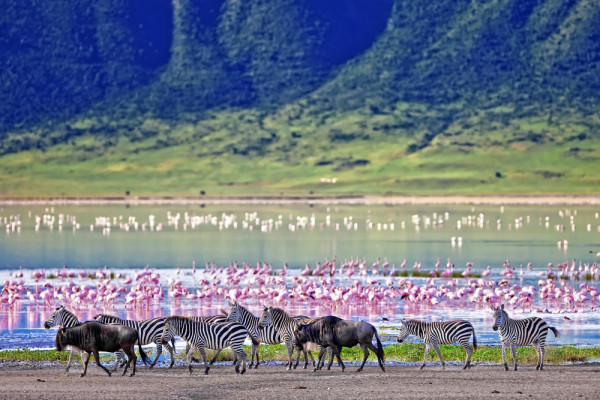 Botswana eco friendly places to visit Botswana one of 5 eco friendly places to visit