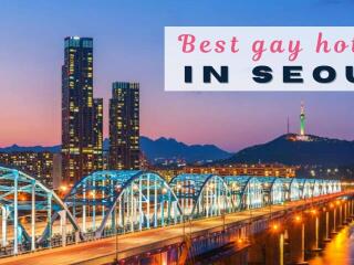 Here are our top picks for gay friendly hotels in Seoul