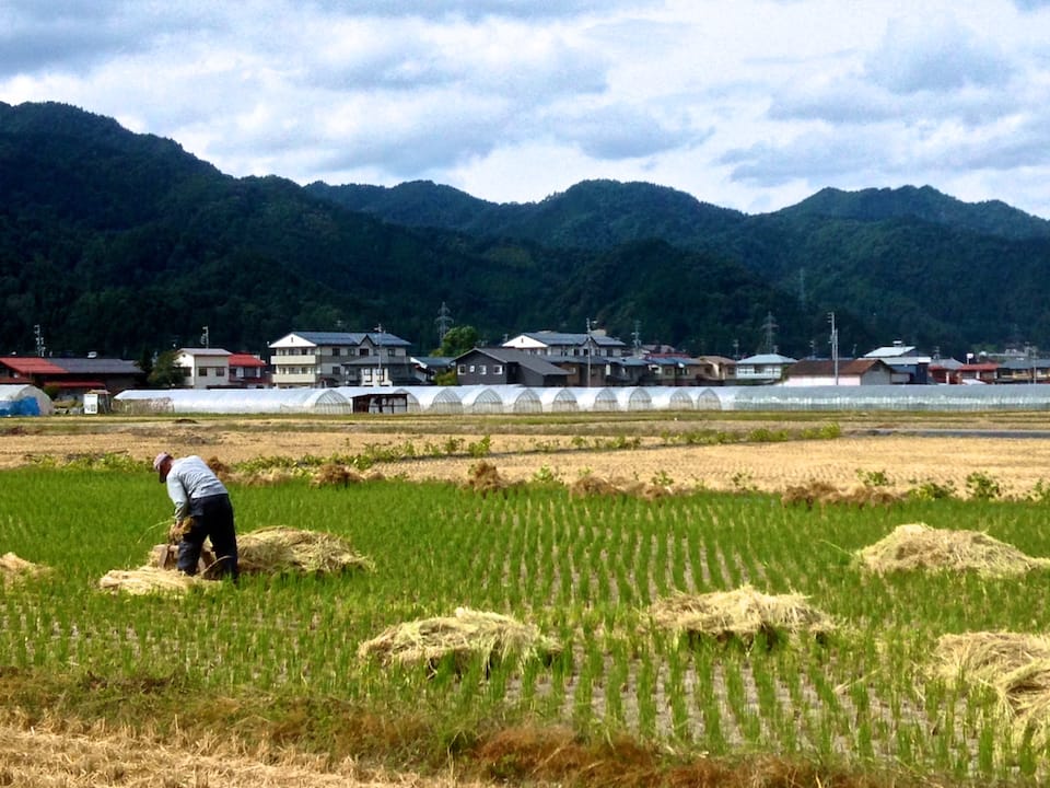 Japan trip blog Takayama Japanese countryside