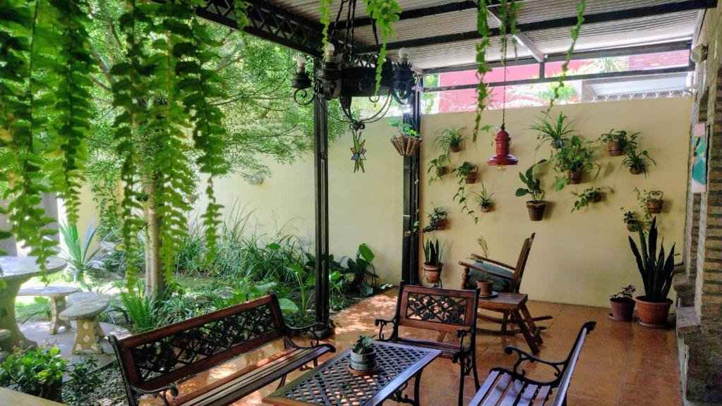 A beautiful covered terrace full of greenery and places to sit outside.