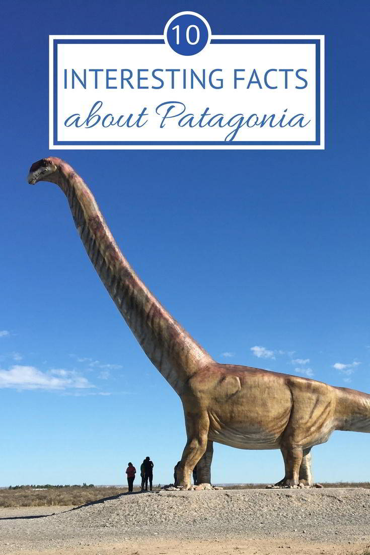 10 interesting facts about Patagonia