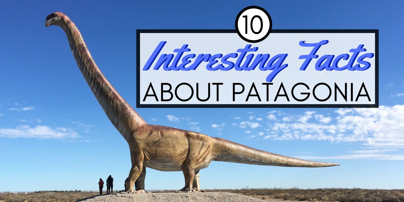 10 Fun Facts About Patagonia You ll Love Nomadic Boys