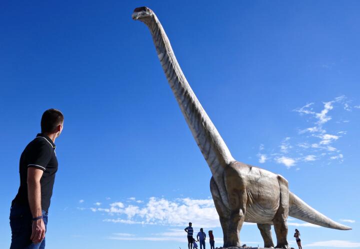 Largest dinosaur in the world one of 10 interesting facts about Patagonia