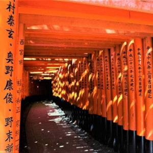 Explore the most important UNESCO sites in Kyoto on this full day tour.