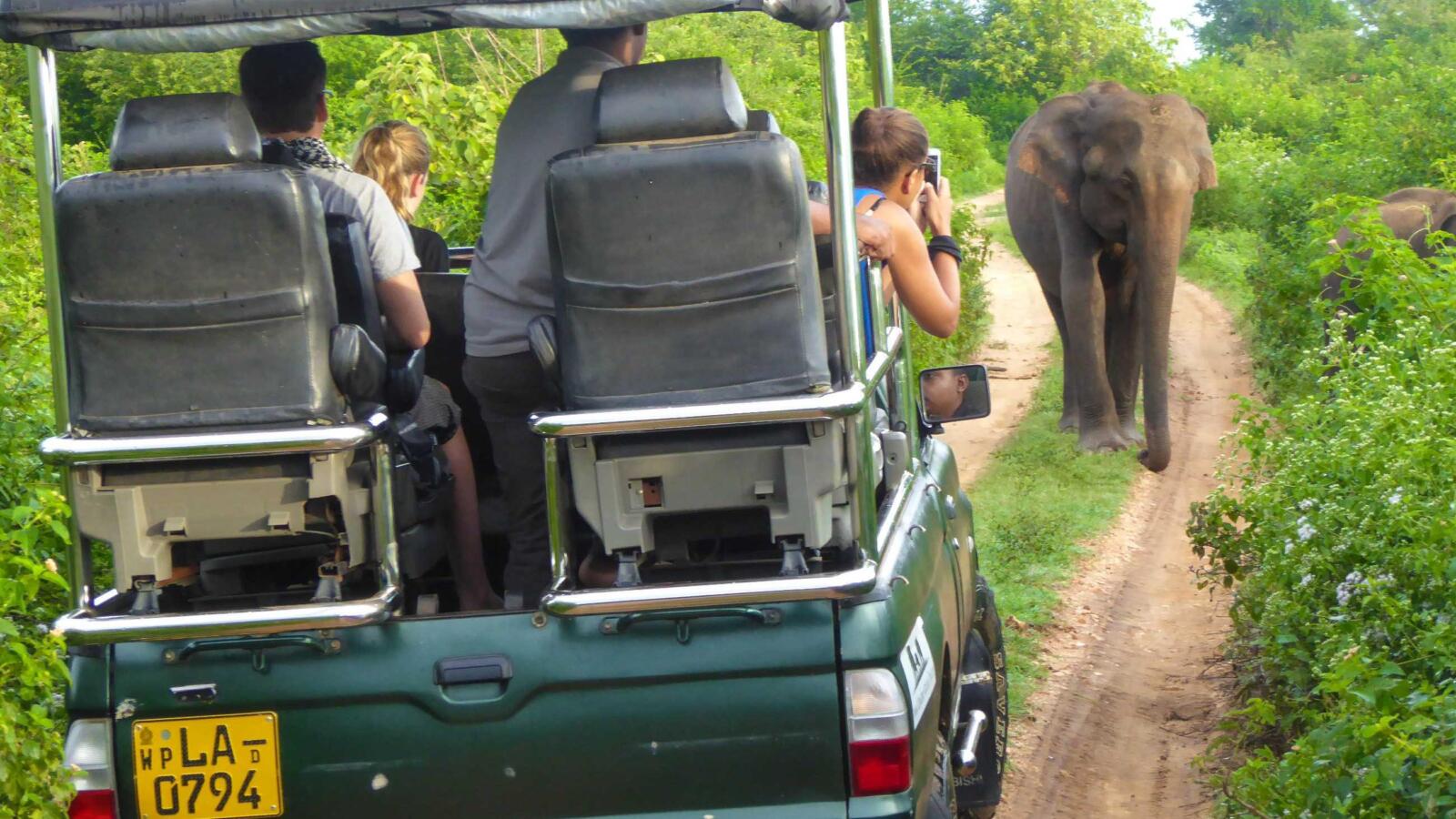 The best safari in the world is in Sri Lanka which can be done independently 