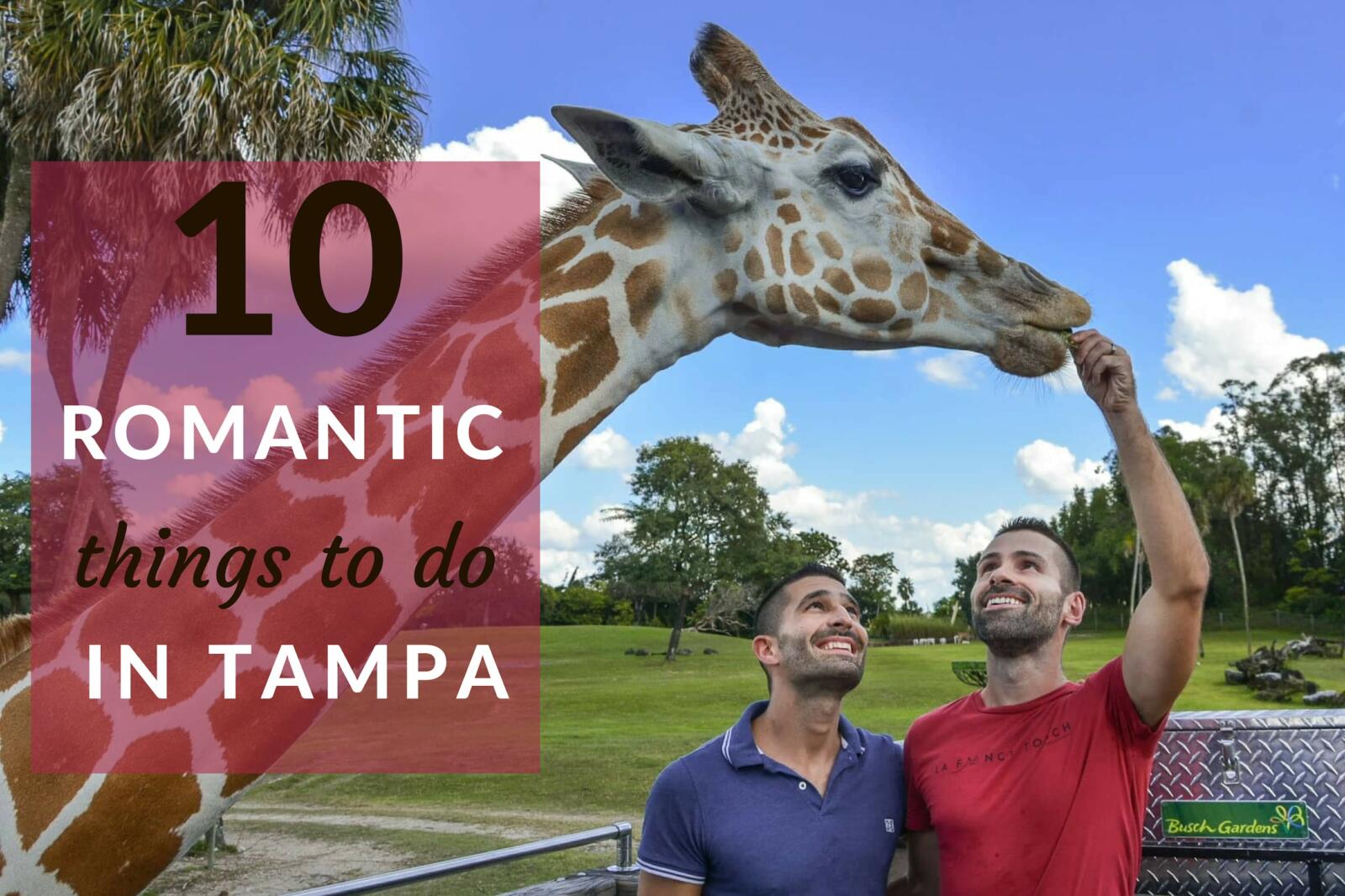 10 Romantic And Cool Things To Do For Couples In Tampa Nomadic Boys