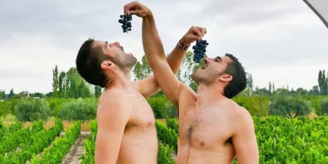 Gay travellers to Mendoza should not miss out on visiting the local vineyards.