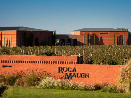 Have a sumptuous meal with perfect wine pairings at the Ruca Malen vineyard in Mendoza.