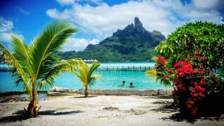 Experience the stunning beauty of Tahiti on a gay nude cruise with GaySail