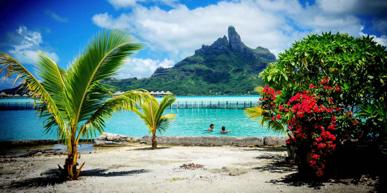 Experience the stunning beauty of Tahiti on a gay nude cruise with GaySail