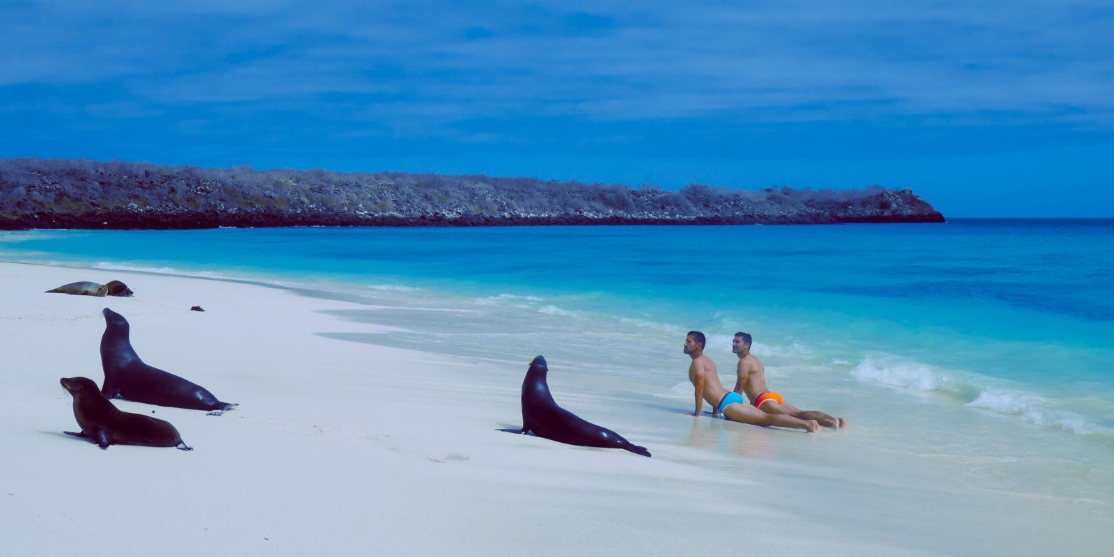 Doing your morning yoga with sea lions on the beach during your gay cruise to the Galapagos with Intrepid