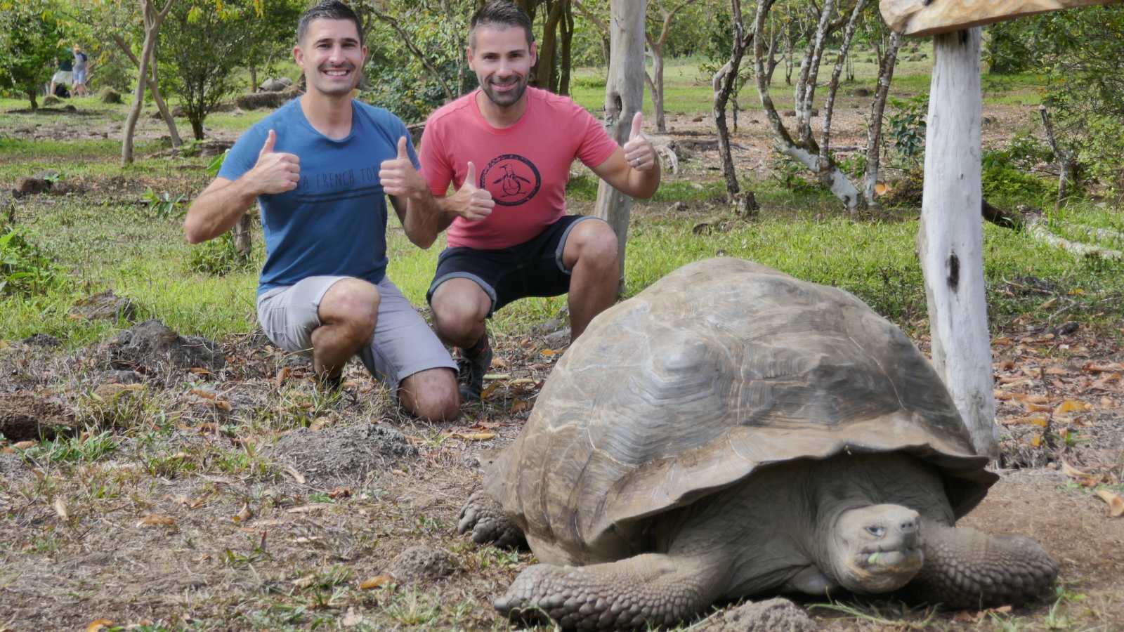 See the famous Galapagos tortoises on your gay cruise with He Travels