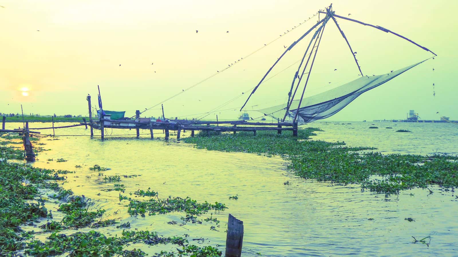 Chinese fishing nets at Kochi old port at sunset