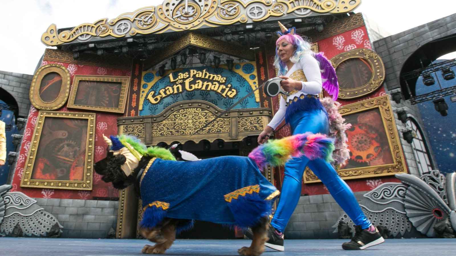 Carnival is an awesome celebration to experience in Gran Canaria, especially if you attend the special canine carnival costume contest!