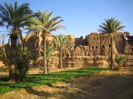 If you want to experience a true desert oasis in Iran, head to the village of Garmeh