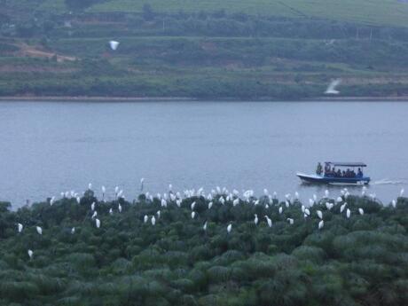 Lake Gregory is a lovely spot for a walk, boat or bike ride in Nuwara Eliya, Sri Lanka