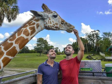 If you like animals and exciting rides, then you'll love Busch Gardens in Tampa
