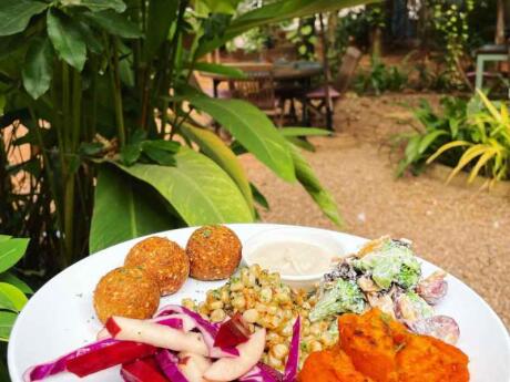 A plate of falafel in front of the garden at HAVEN restaurant in Siem Reap.