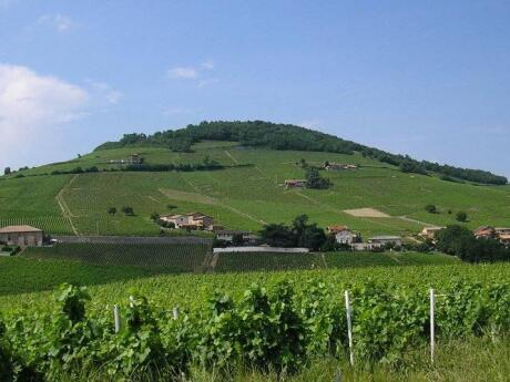 While you're in Lyon you should visit the nearby wine region of Beaujolais and sample some of the best local wines