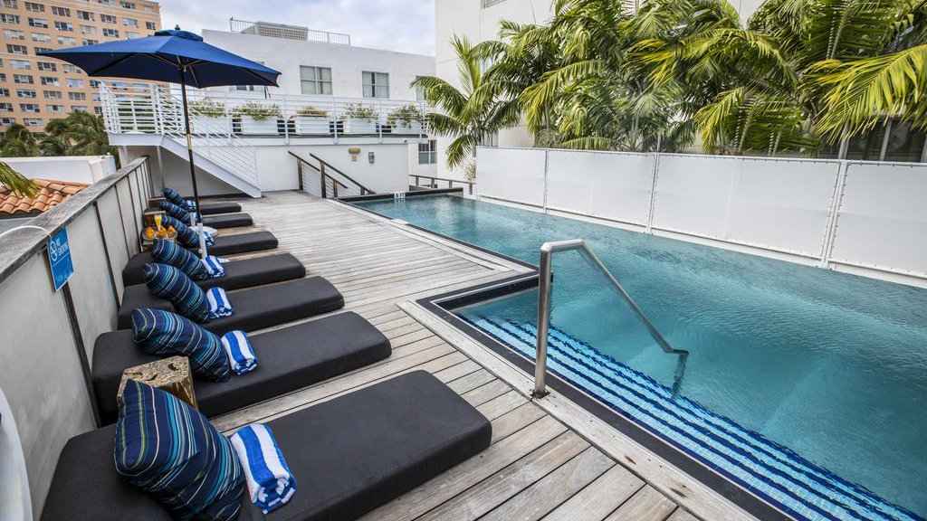 Gay travellers in Miami will love the Posh Hostel South Beach, especially it's rooftop pool!