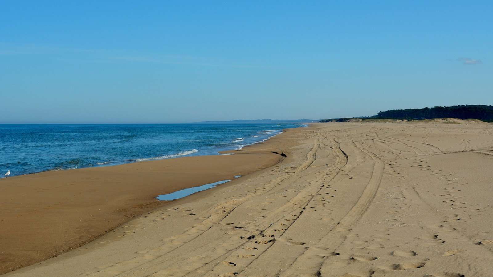 Uruguay's clothing optional Chihuahua Beach can be found outside Punta del Este