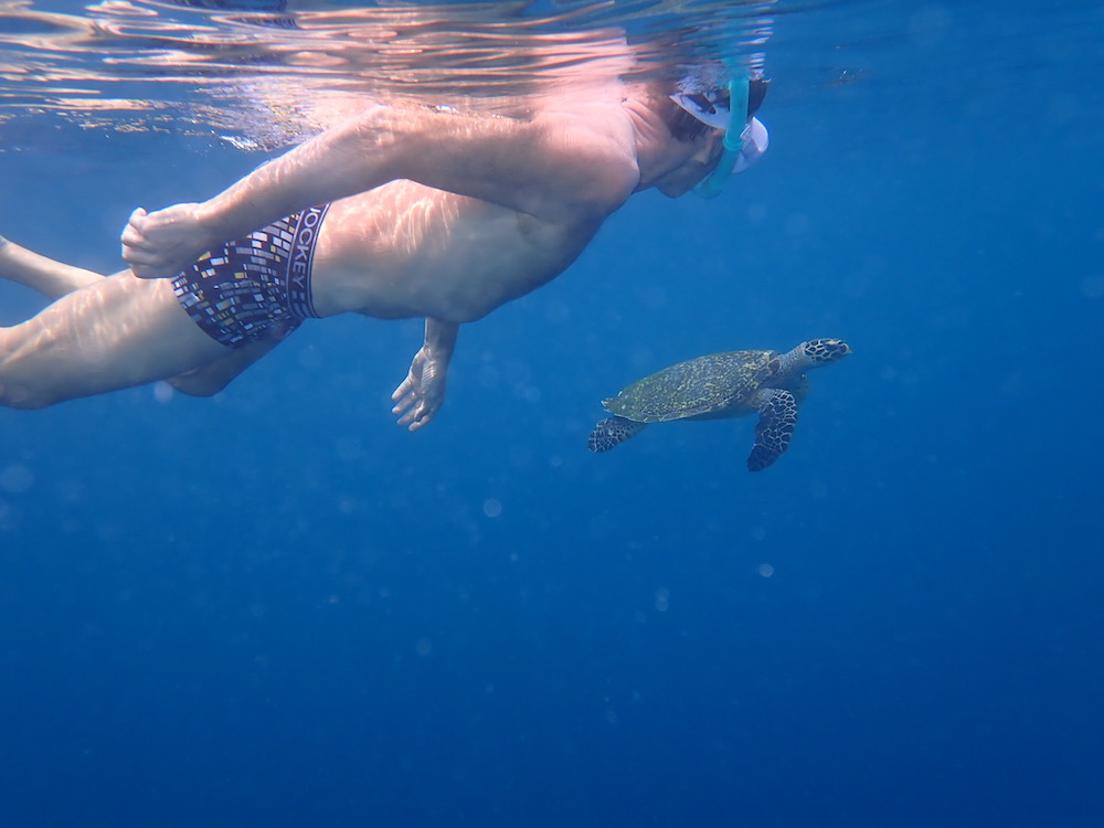 Man snorkeling with turtle.