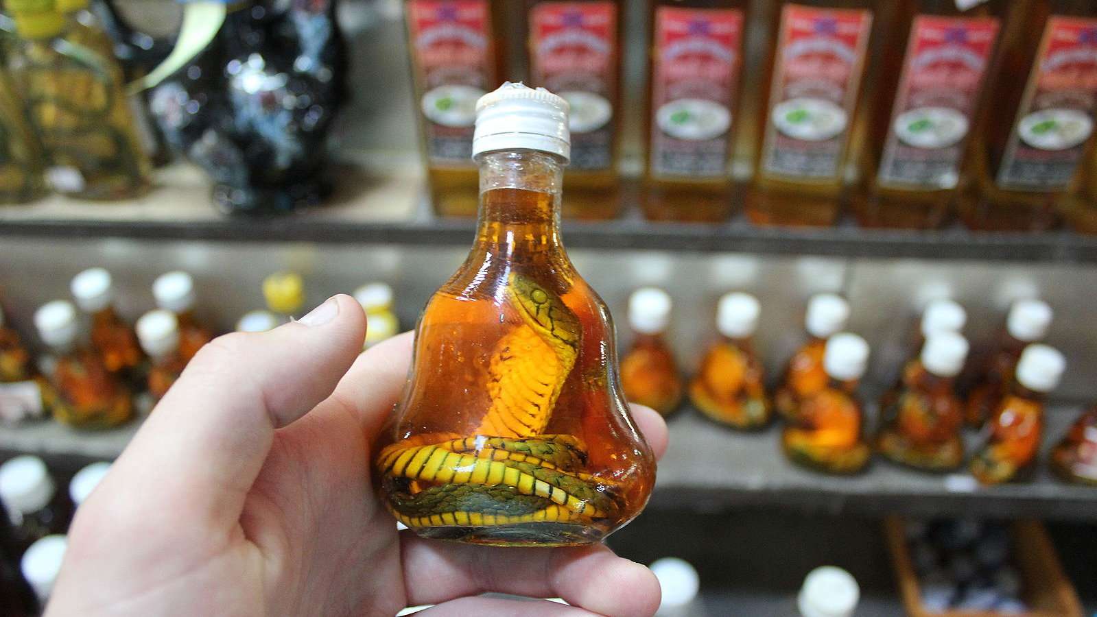Wine made with snakes, or part of snakes, is thought to be very good for you in Vietnam