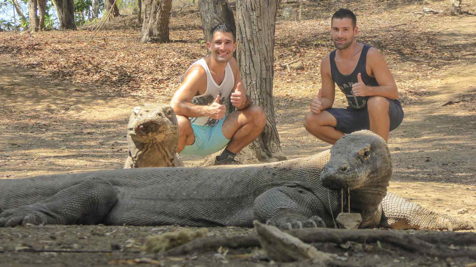 Finally met the majestic yet terrifying Komodo Dragons! Indonesia