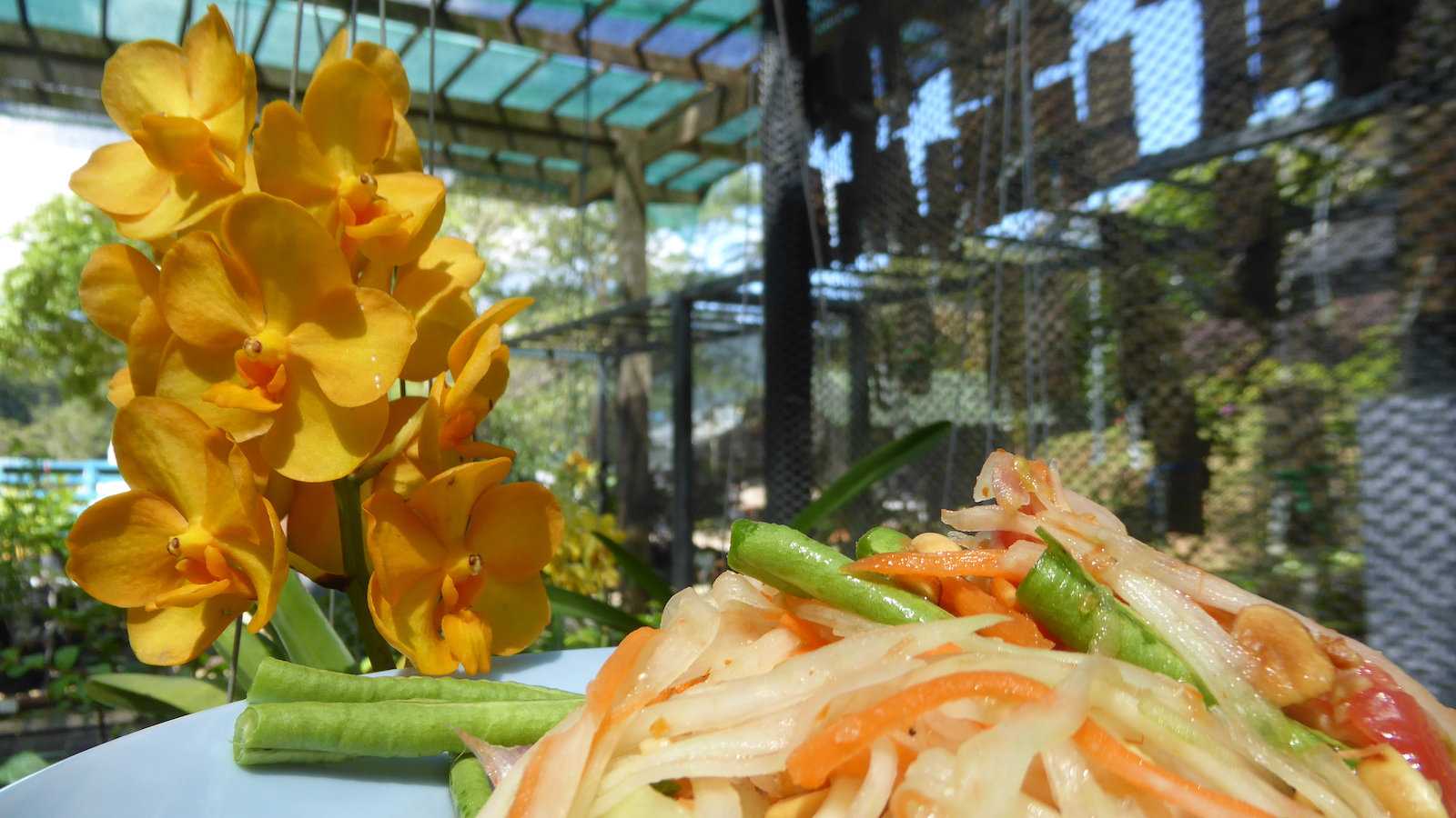 Som Tam é a salada mais popular da Tailândia e uma mistura ardente de sabores picantes, doces, salgados e ácidos