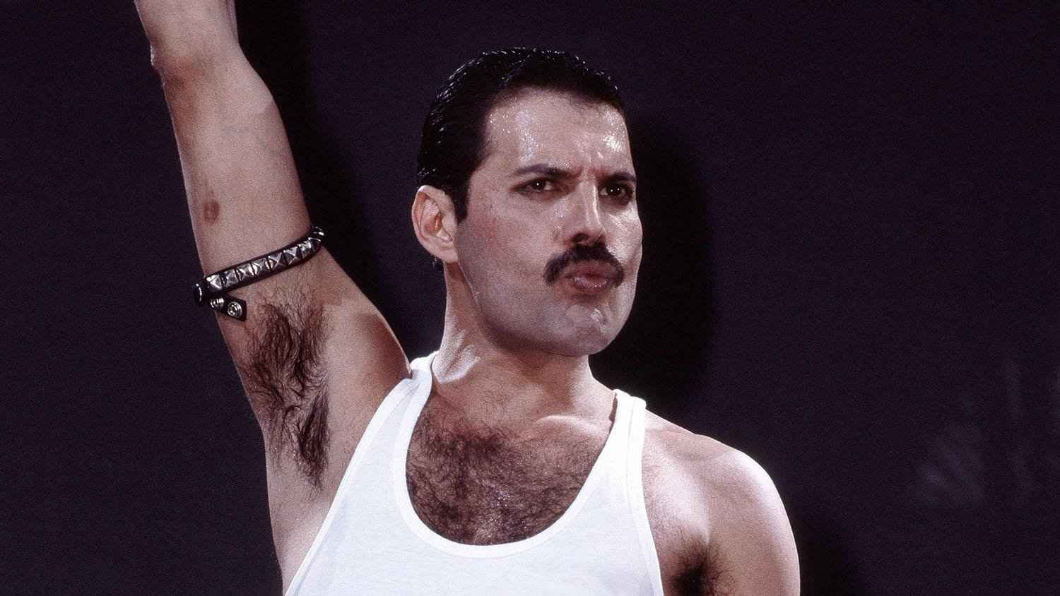 Freddie Mercury era o vocalista da Queen e um ícone gay britânico