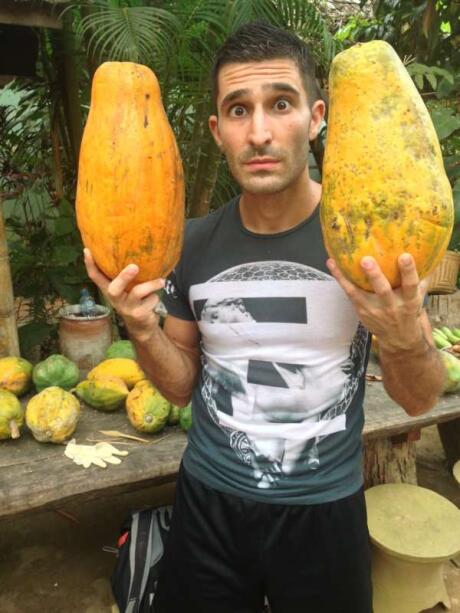Growing conditions in Laos produce some of the largest papayas we've ever seen!