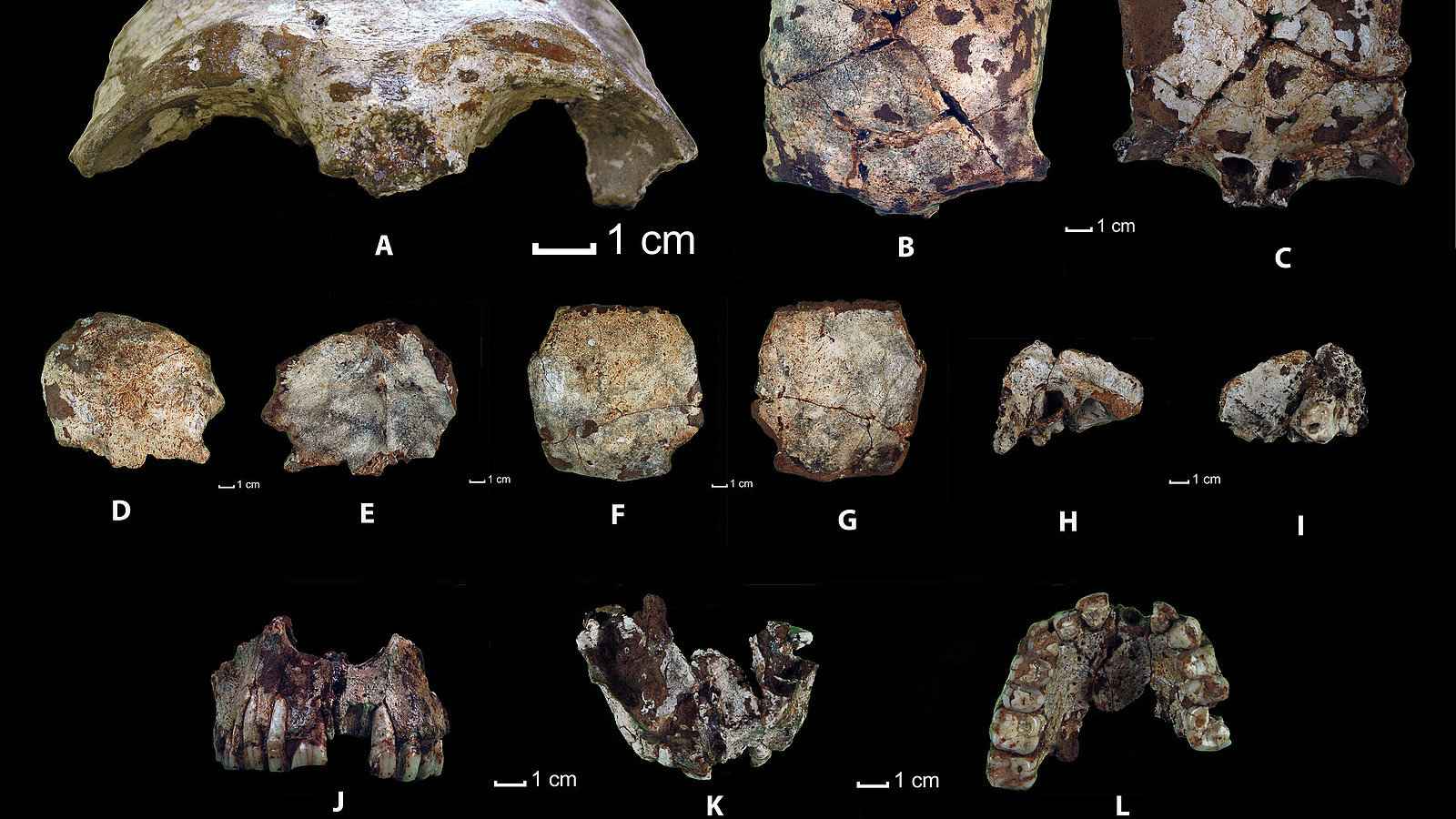 The oldest human remains in Southeast Asia were found in Laos