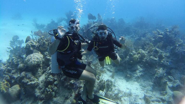 8 gay scuba diving trips and liveaboards not to miss in 2023/2024 ...