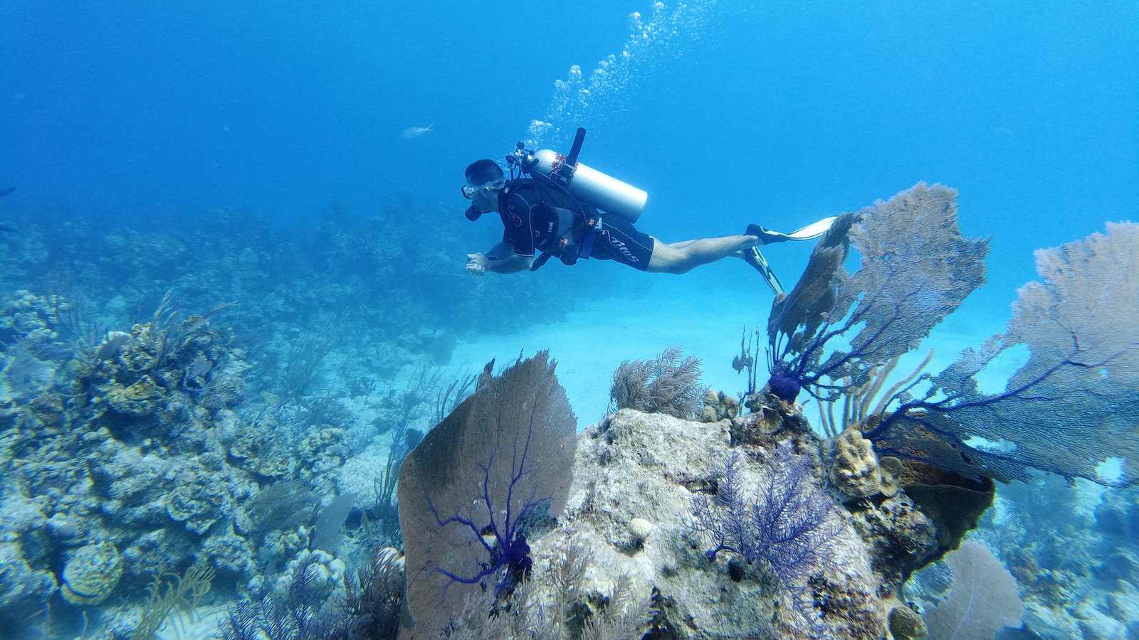 Scuba diving in Mexico's Sea of Cozumel is even better on a gay diving vacation